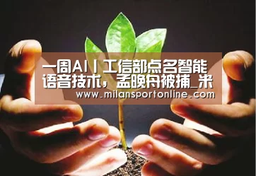 一周AI丨工信部点名智能语音技术,孟晚舟被捕_米兰聚合(图2) 米兰聚合
