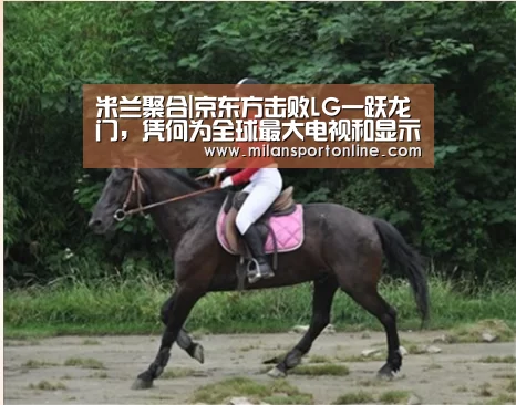 米兰聚合|京东方击败LG一跃龙门,凭何为全球最大电视和显示器液晶面板供应商?(图2) 米兰平台