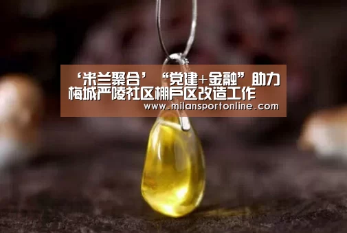 ‘米兰聚合’“党建+金融”助力梅城严陵社区棚户区改造工作(图1) 米兰平台