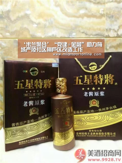 ‘米兰聚合’“党建+金融”助力梅城严陵社区棚户区改造工作(图3) 米兰APP