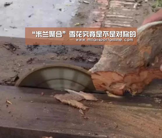 “米兰聚合”雪花究竟是不是对称的(图1) 米兰直播