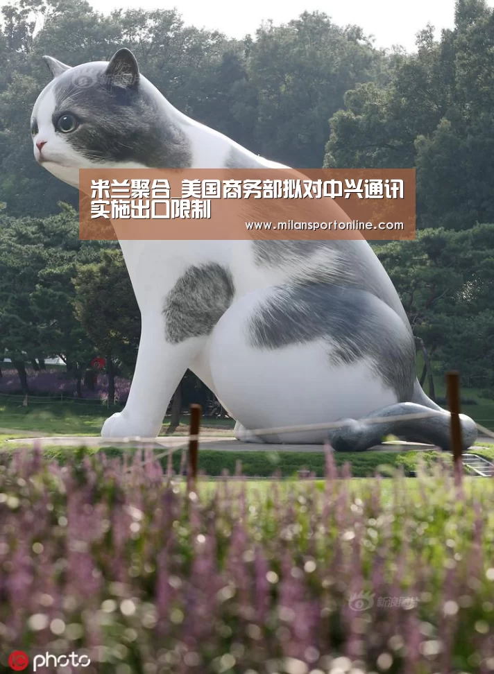 米兰直播