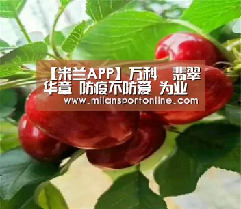 米兰直播