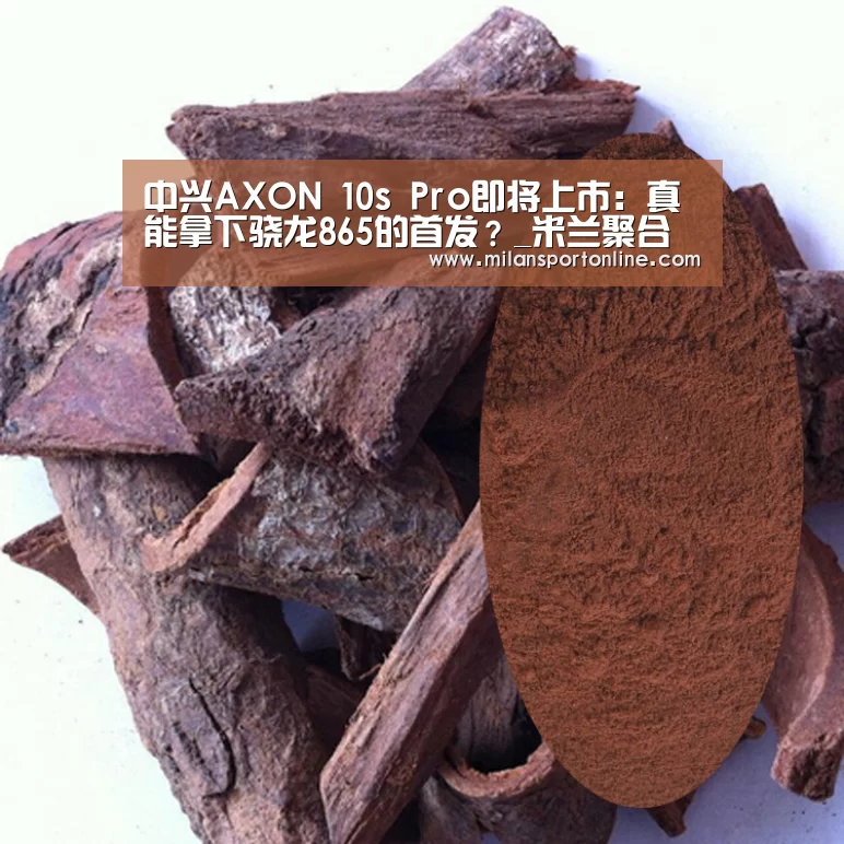 中兴AXON 10s Pro即将上市:真能拿下骁龙865的首发?_米兰聚合(图2) 米兰APP