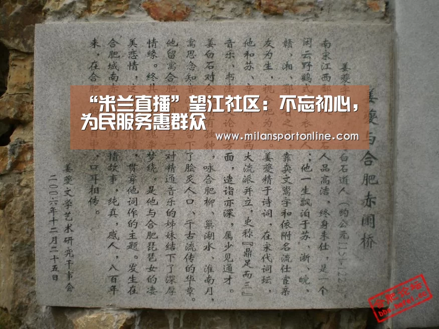 “米兰直播”望江社区:不忘初心,为民服务惠群众(图1) 米兰平台