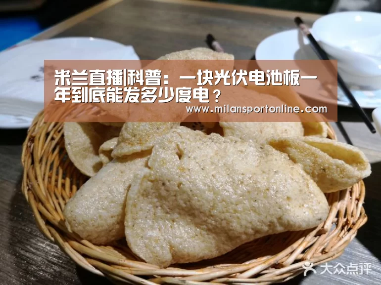 米兰直播|科普:一块光伏电池板一年到底能发多少度电?(图2) 米兰直播